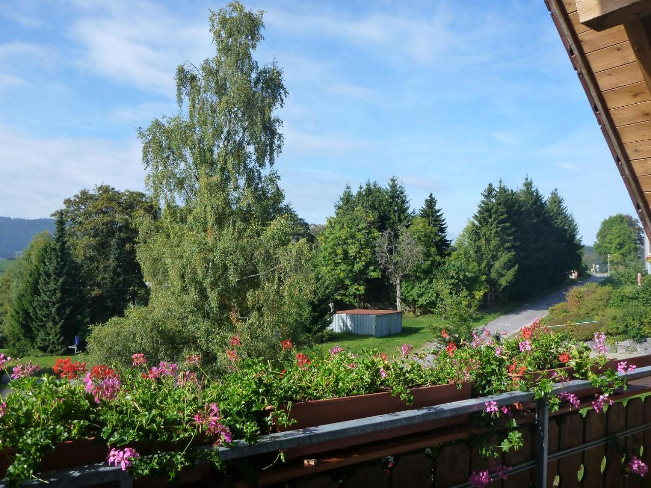 Gaestehaus Hundelbach Lenzkirch Exteriér fotografie
